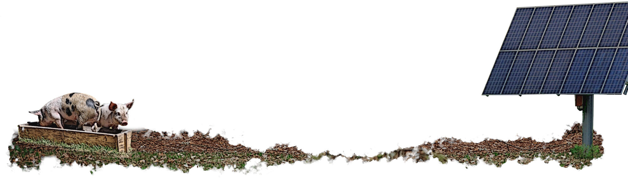 Eurofumeiro Sustentabilidade Eurofumeiro Sustentabilidade