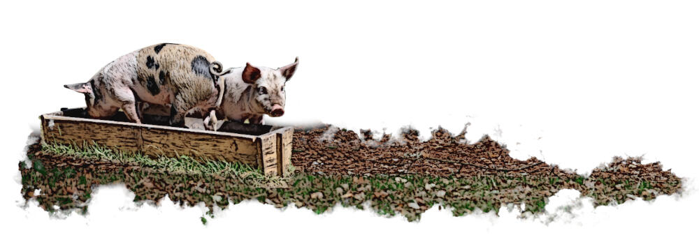 Eurofumeiro Sustentabilidade Eurofumeiro Sustentabilidade