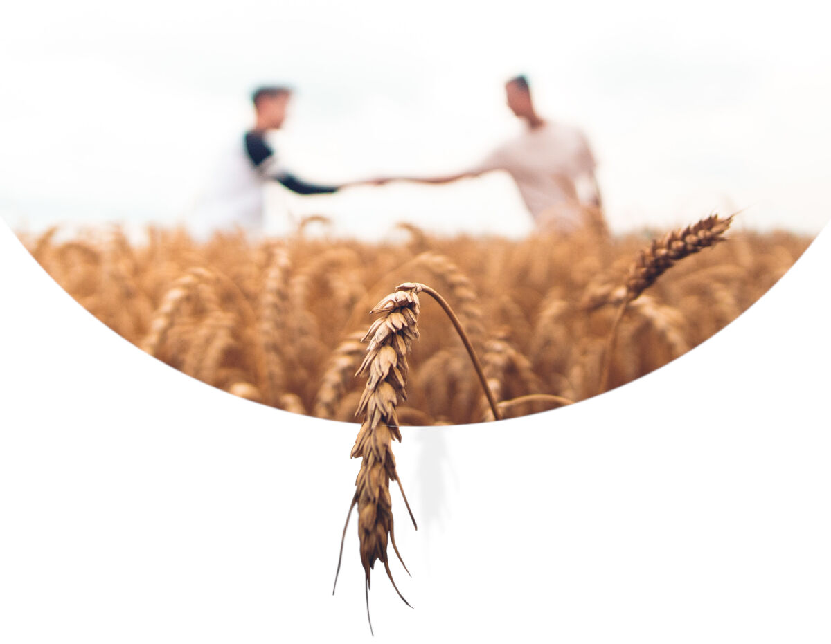 Eurofumeiro Produtores Locais Eurofumeiro Produtores Locais